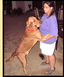 Fergus