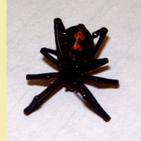 Black Widow Spider